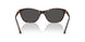 100287 - Tortoise - Dark Grey