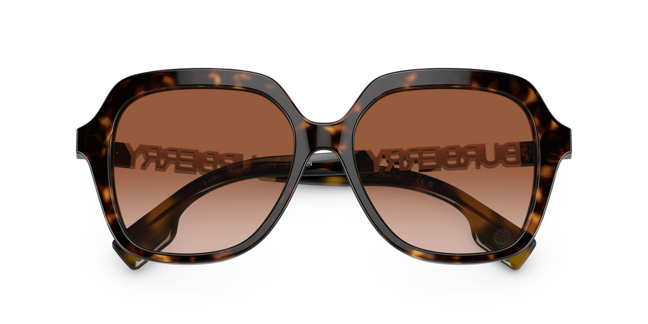 300213 - Brown - Brown Gradient