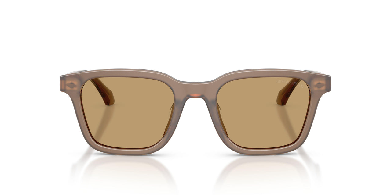 647573 - Brown - Brown