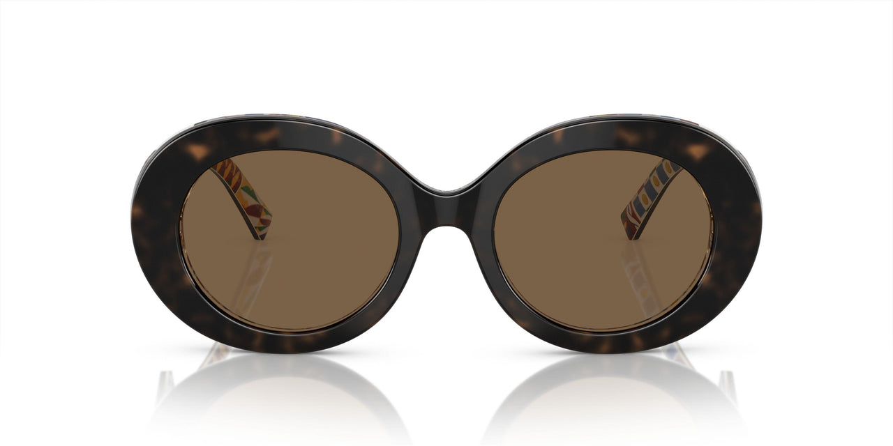321773 - Tortoise - Dark Brown