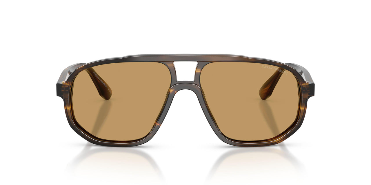 632673 - Green - Brown