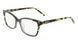 DKNY DK5034 N Eyeglasses