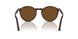 24/57 - Havana - Polar Brown