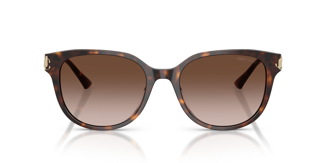 500213 - Tortoise - Gradient Brown