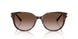 500213 - Tortoise - Gradient Brown