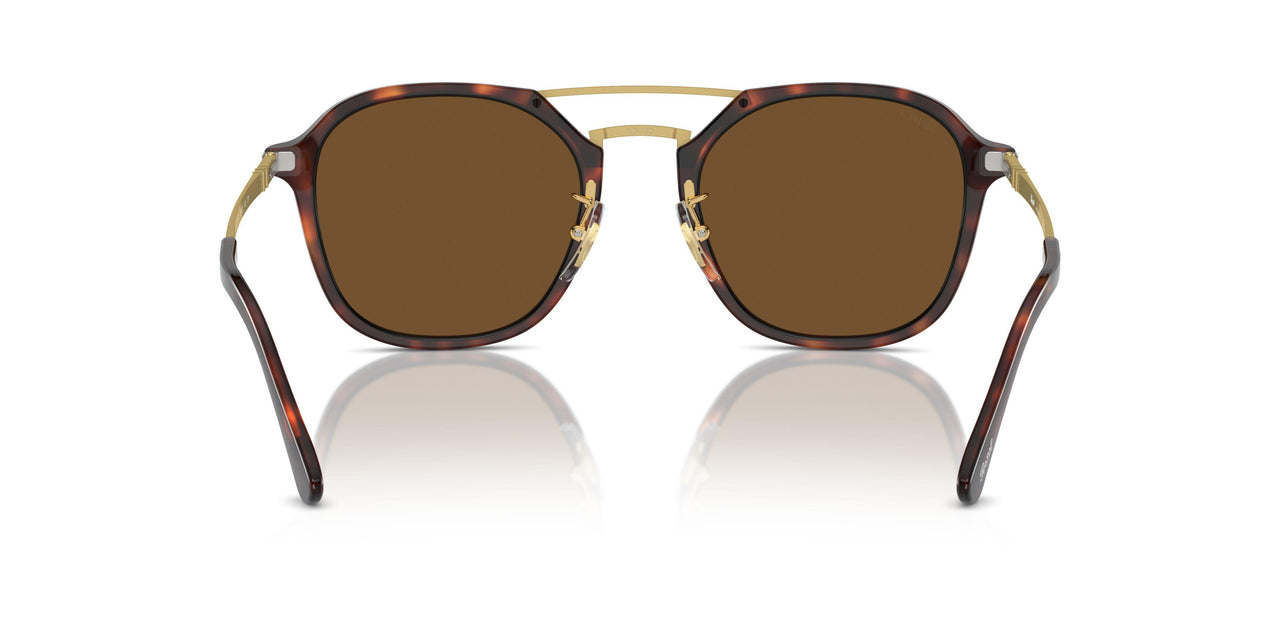 24/57 - Tortoise - Polar Brown