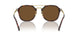 24/57 - Tortoise - Polar Brown