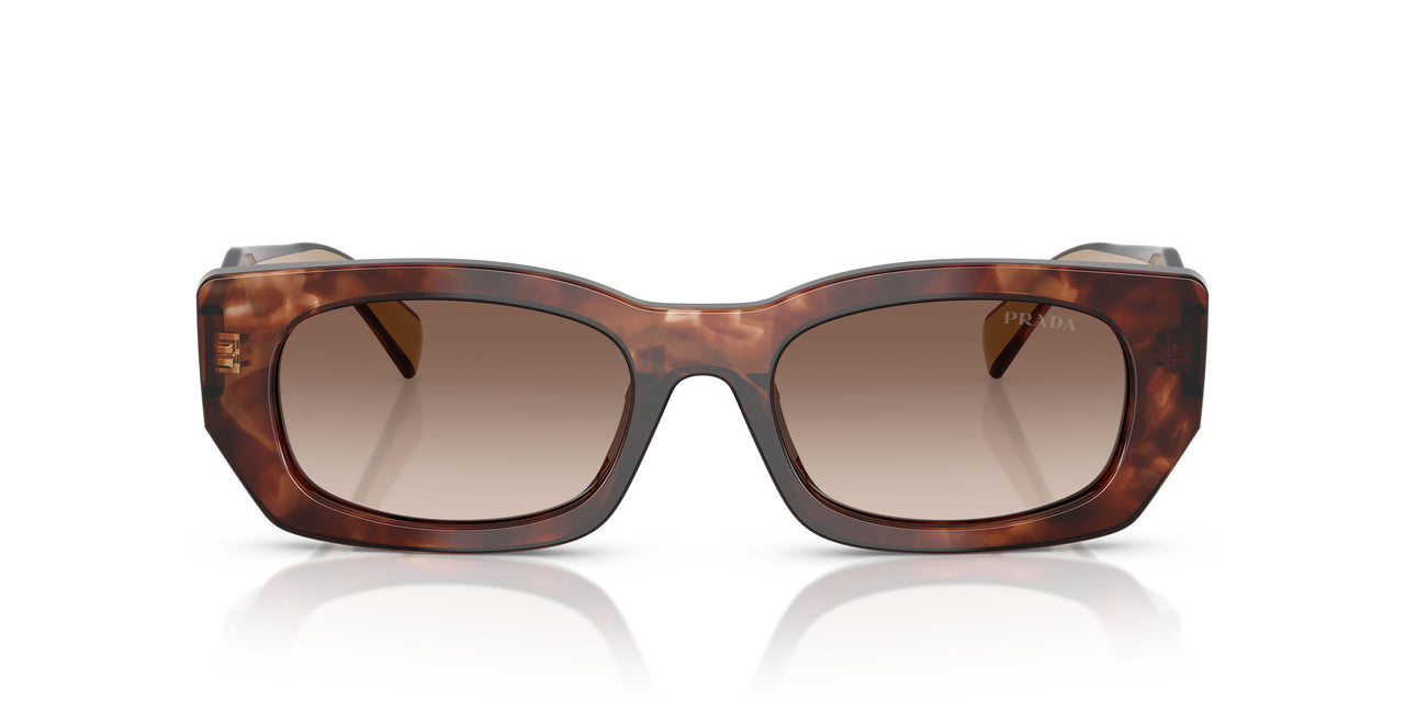 00K10S - Tortoise - Brown Gradient