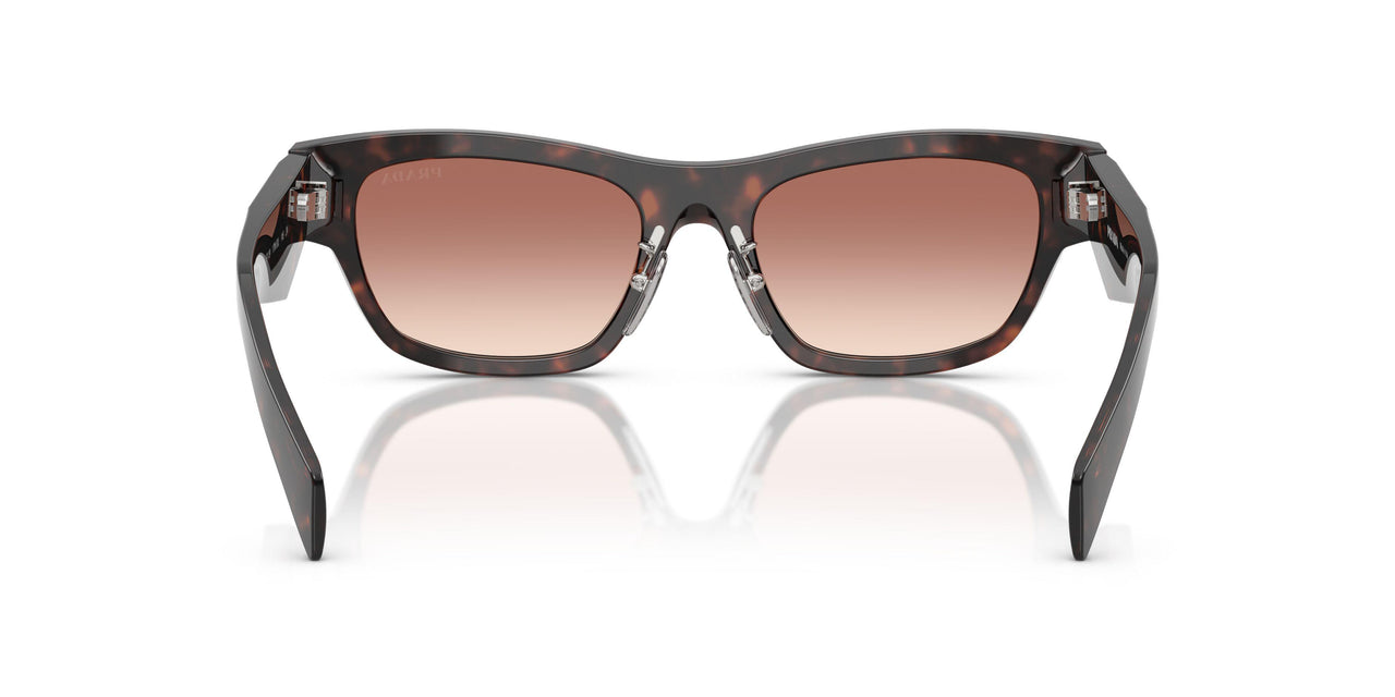 17N50L - Tortoise - Light Brown Gradient Bordeaux