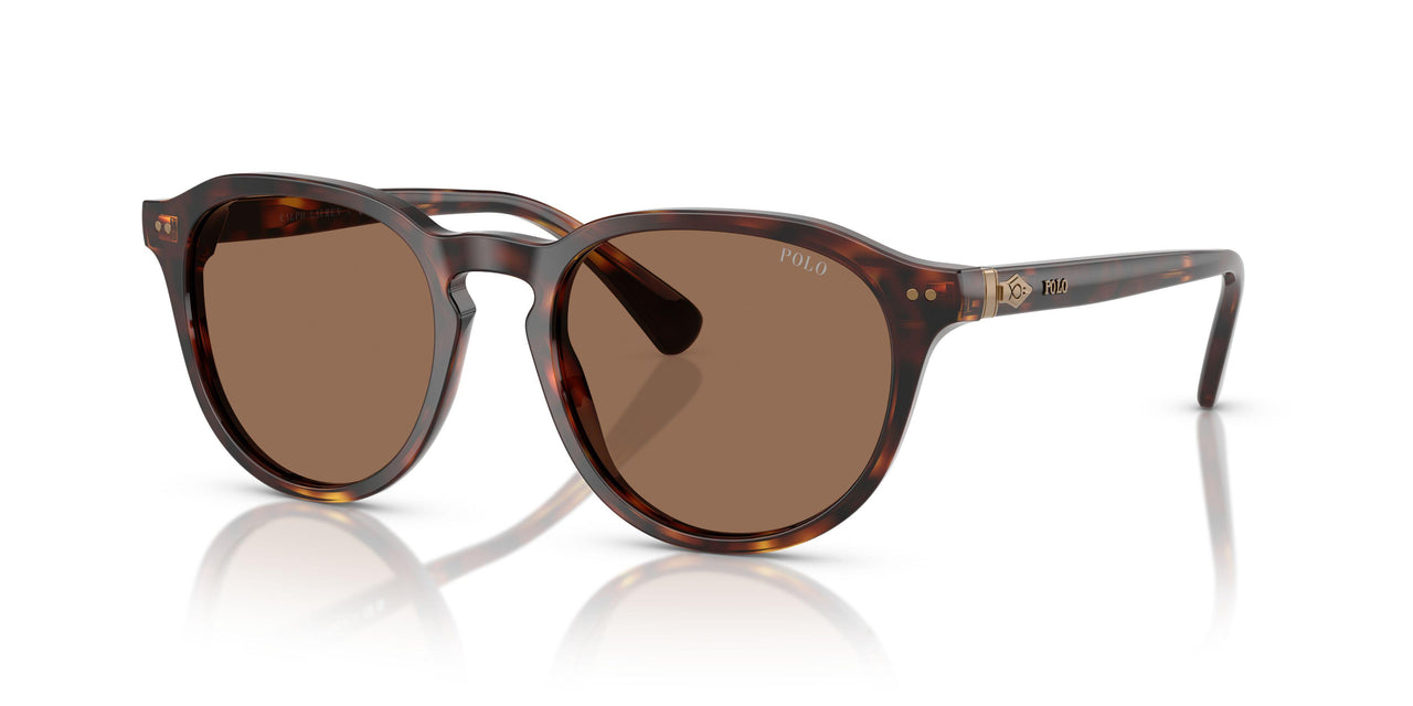 613773 - Tortoise - Dark Brown