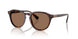 613773 - Tortoise - Dark Brown