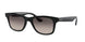 601/M3 - Black - Grey Gradient Dark Grey Polar
