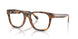 6089 - Tortoise
