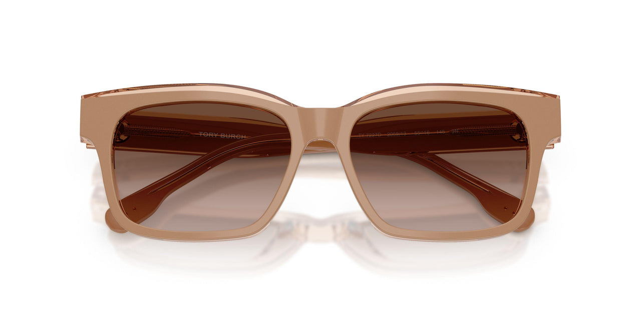 205913 - Brown - Brown Gradient
