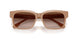 205913 - Brown - Brown Gradient