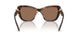 100273 - Tortoise - Dark Brown
