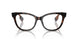 3002 - Brown