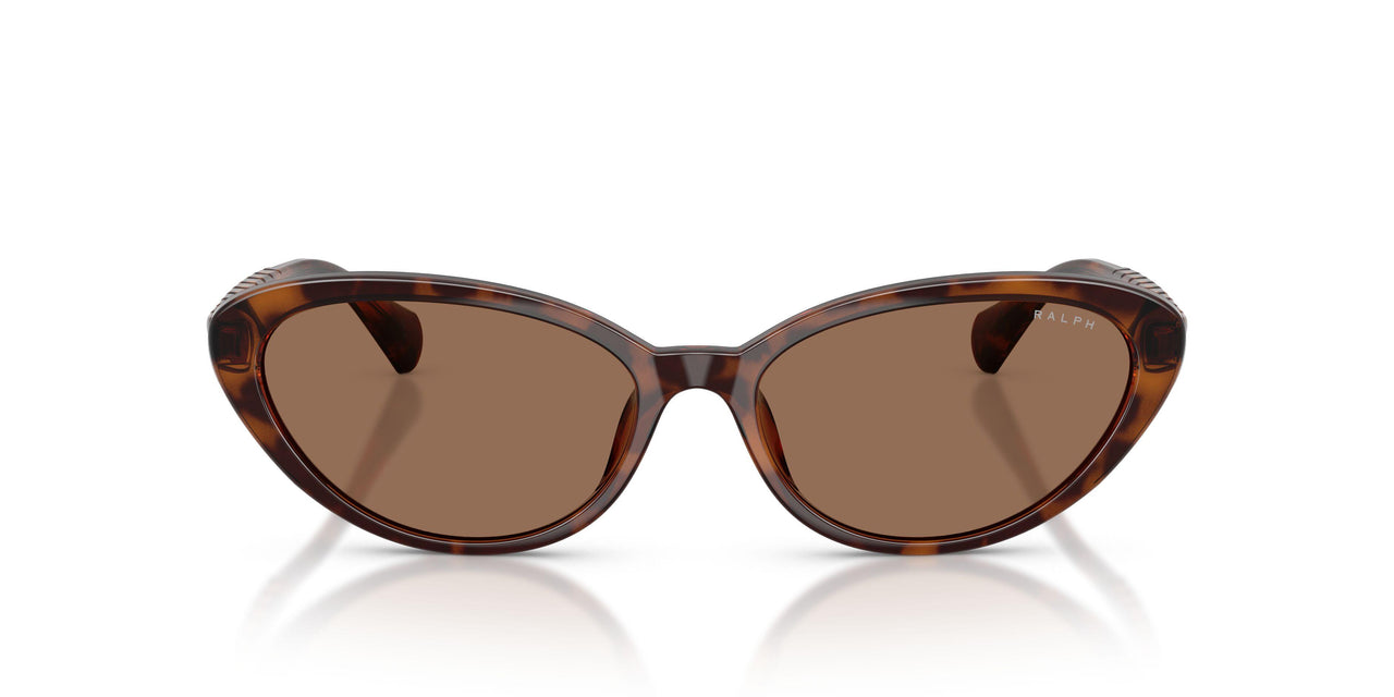 614913 - Tortoise - Brown