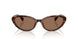 614913 - Tortoise - Brown