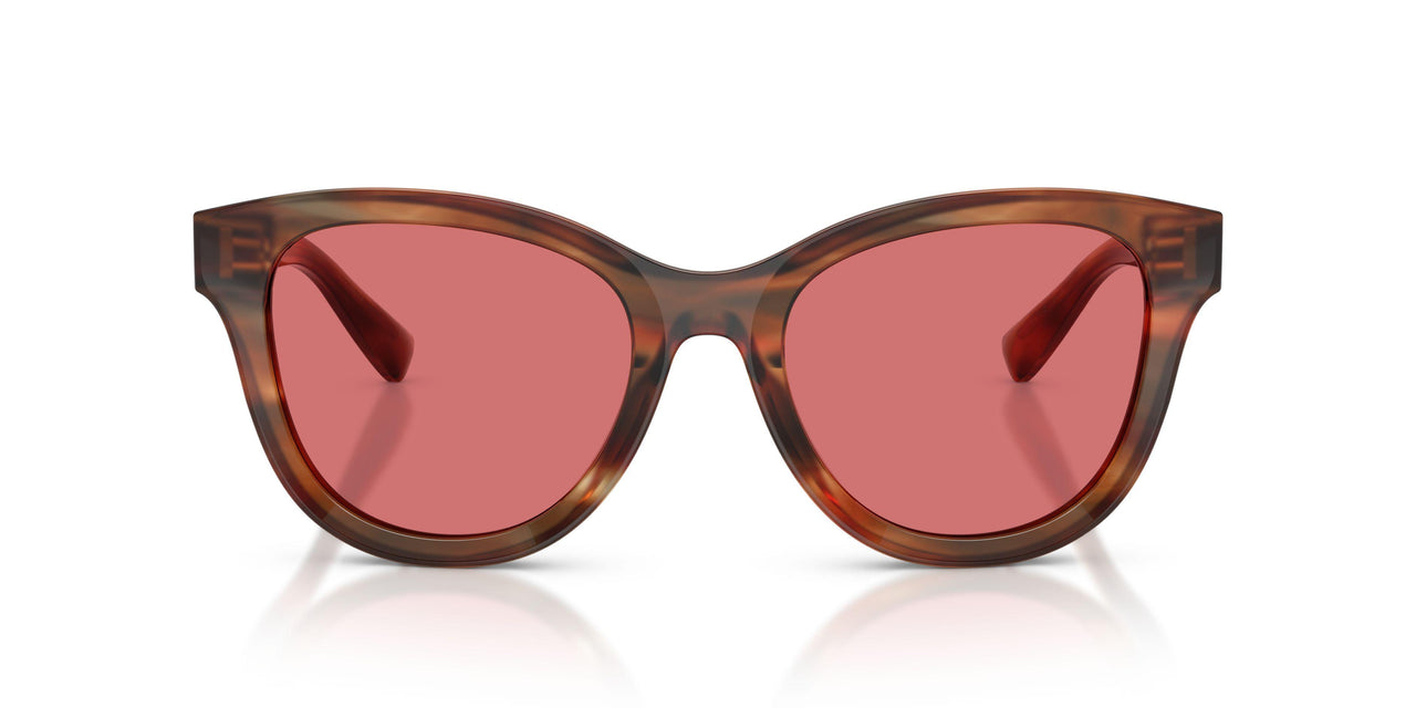 322175 - Tortoise - Red