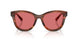 322175 - Tortoise - Red