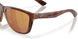 912407 - Tortoise - Gold Mirror