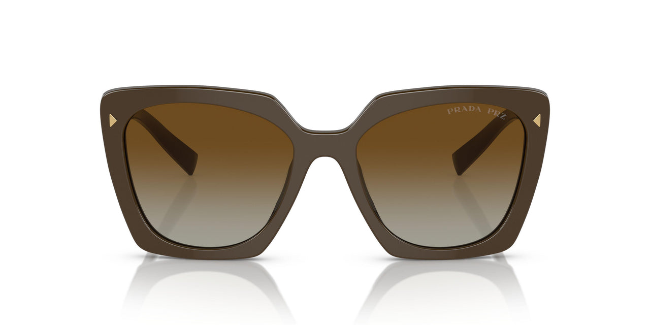 11J6E1 - Green - Polar Brown Gradient