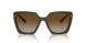 11J6E1 - Green - Polar Brown Gradient