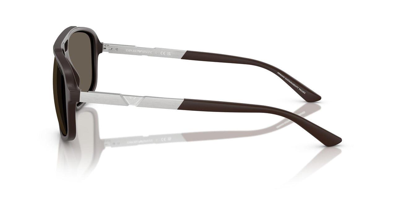 6186/3 - Brown - Brown