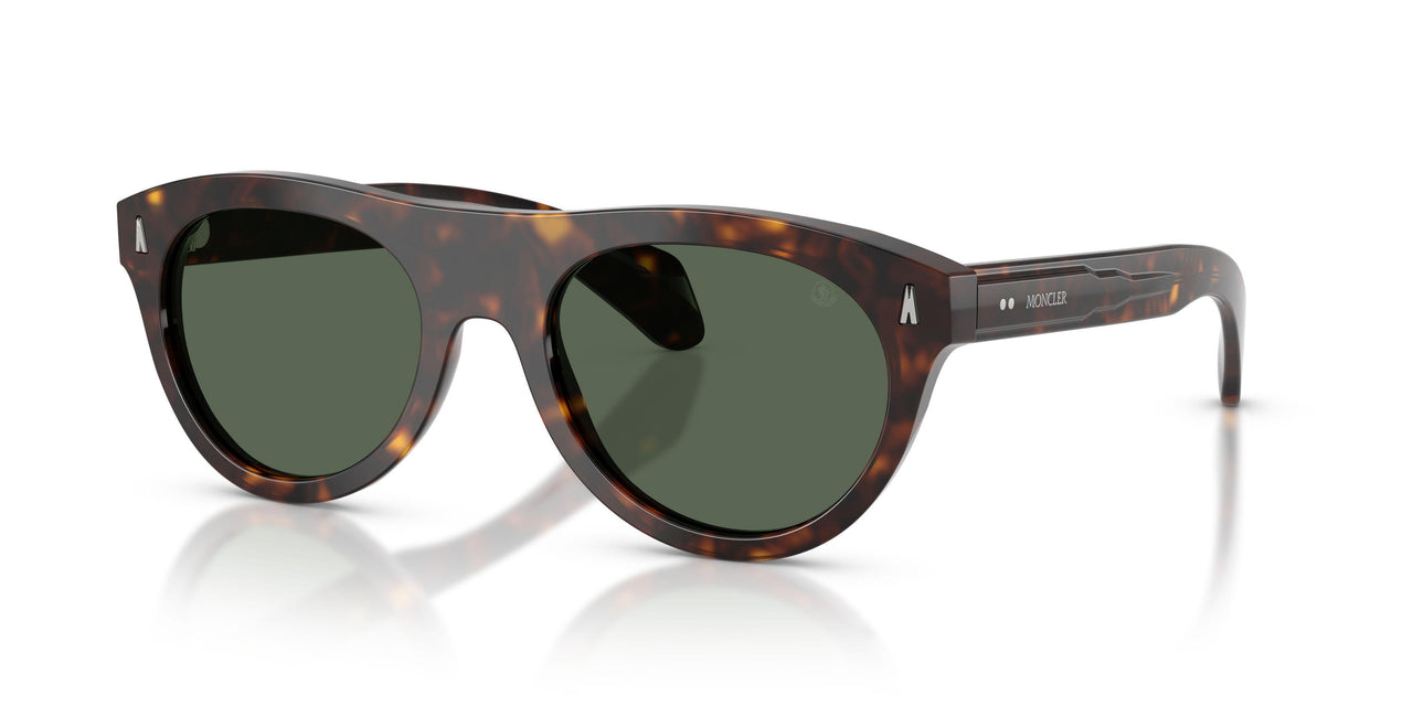 300271 - Tortoise - Solid Dark Green