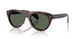 300271 - Tortoise - Solid Dark Green