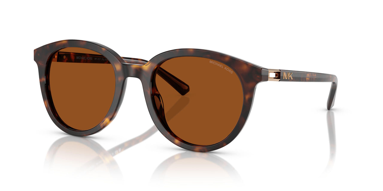300673 - Tortoise - Brown Solid