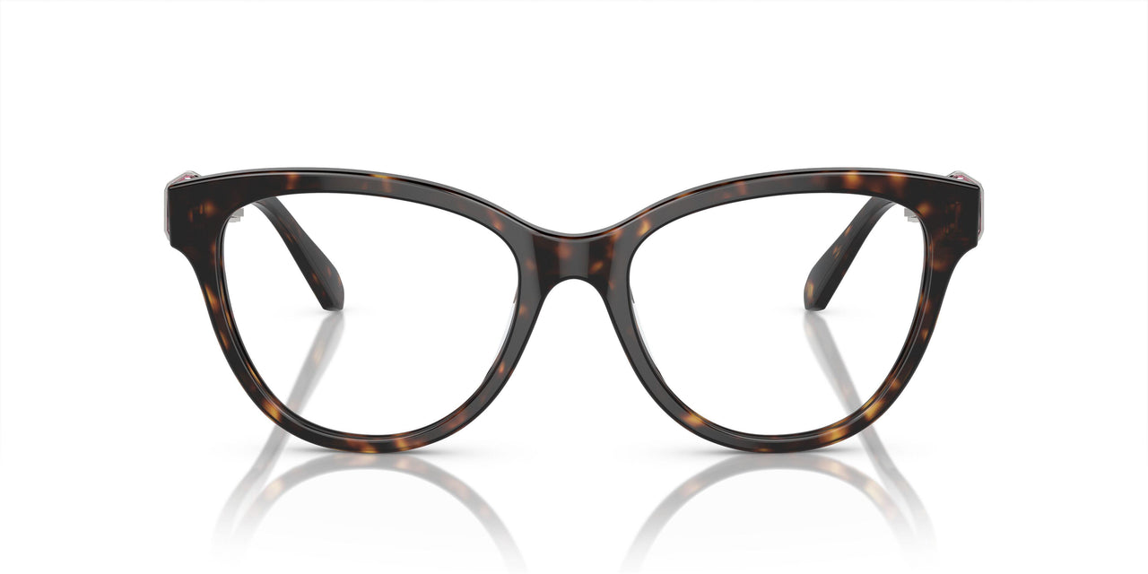 1002 - Brown