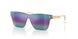 148/P1 - White - Dark Brown Mirror Rainbow