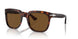 24/57 - Tortoise - Brown Polar