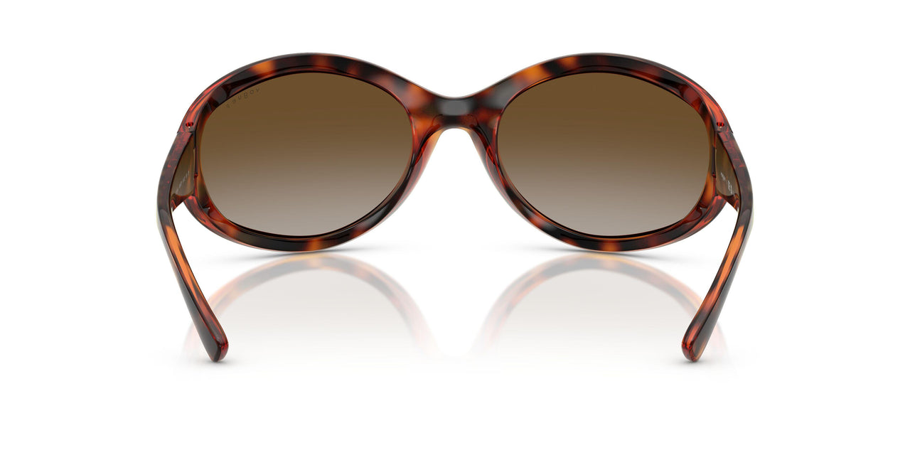 W656T5 - Brown - Gradient Brown Polar