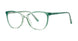 PLASTICS II CONGENIAL Eyeglasses
