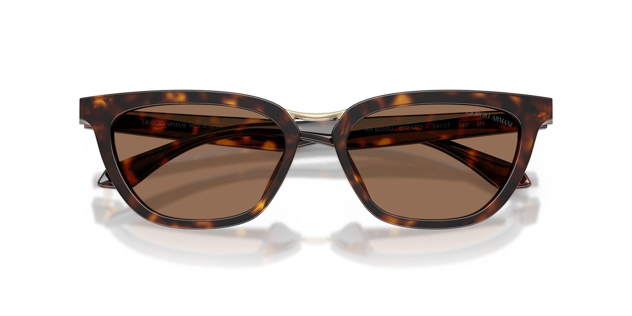 612473 - Tortoise - Dark Brown
