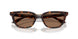 612473 - Tortoise - Dark Brown