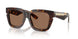 300273 - Brown - Dark Brown