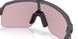 946339 - Grey - Prizm Transitions Black