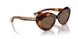 100773 - Tortoise - Brown