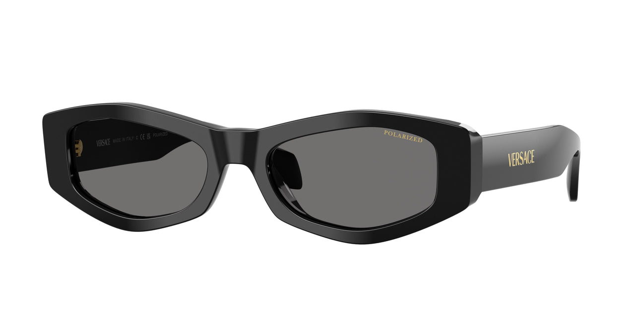 Versace 4487 Sunglasses