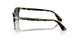 107148 - Tortoise - Polar Black