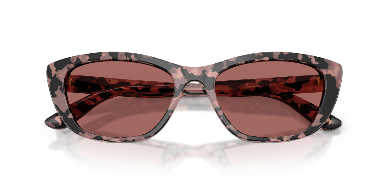 347669 - Tortoise - Dark Violet