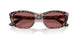 347669 - Tortoise - Dark Violet