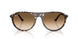 143151 - Yellow - Clear Gradient Brown
