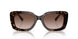 500313 - Tortoise - Gradient Brown