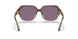 56781A - Brown - Violet Solid