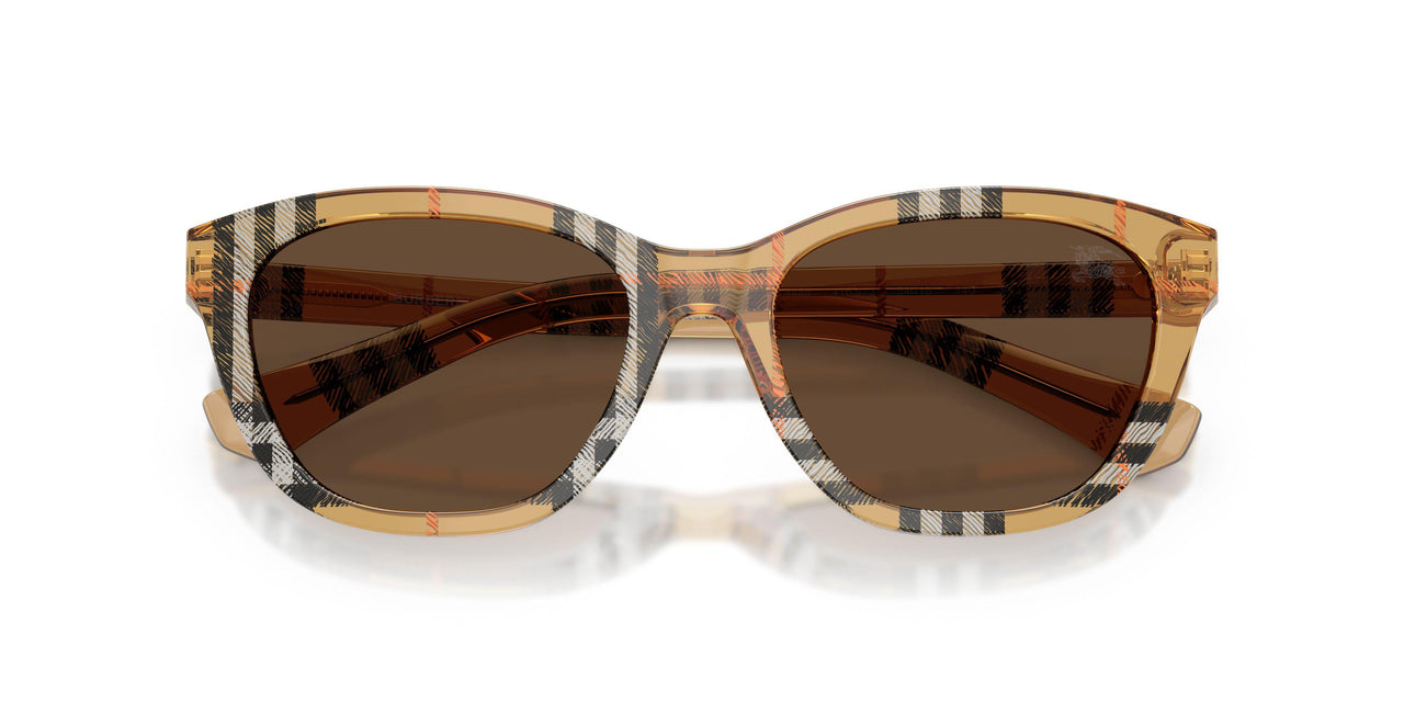 416373 - Brown - Dark Brown